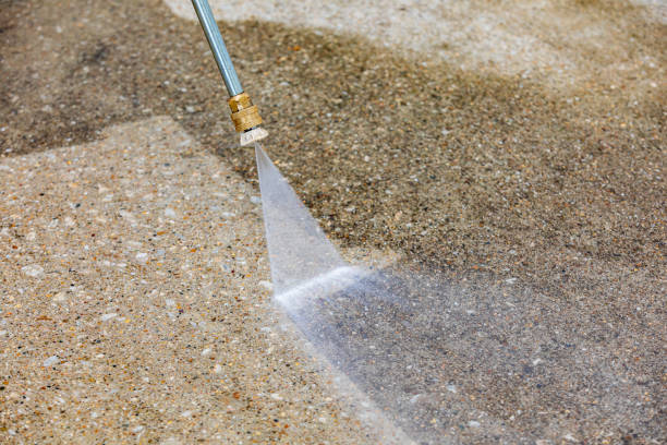Best Roof Washing  in Muse, PA
