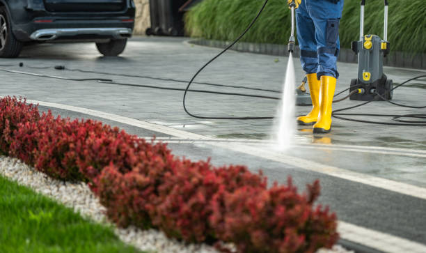 Professional  Pressure Washing Services in Muse, PA